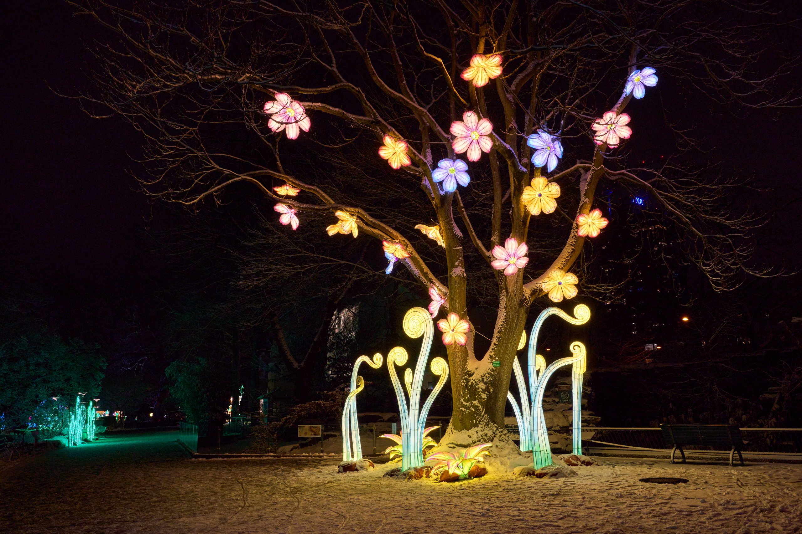 2026 01 05 China Lights 0128